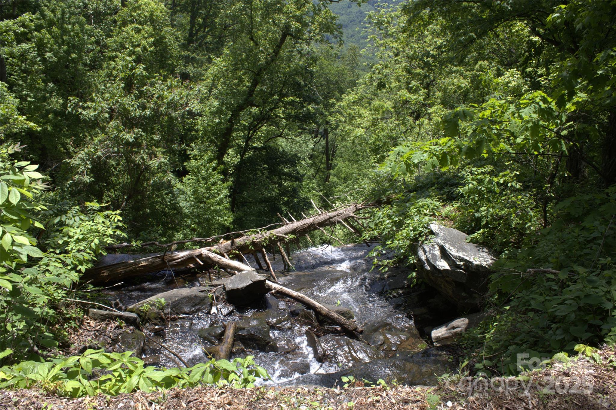 White Oak Mountain - Land