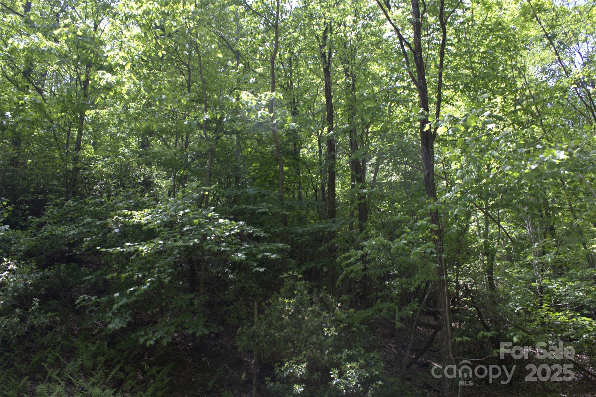 White Oak Mountain - Land