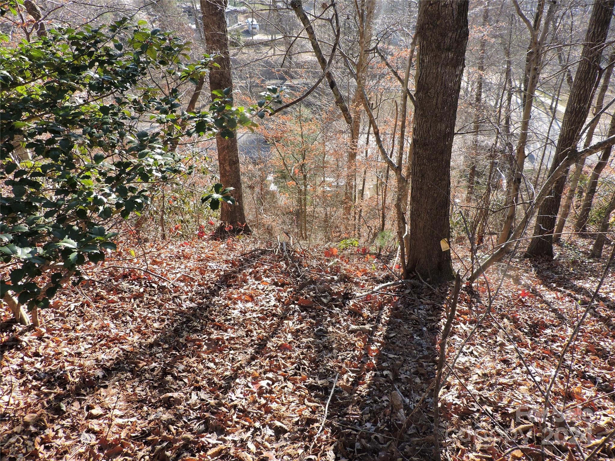 10 Whitman Lane 41