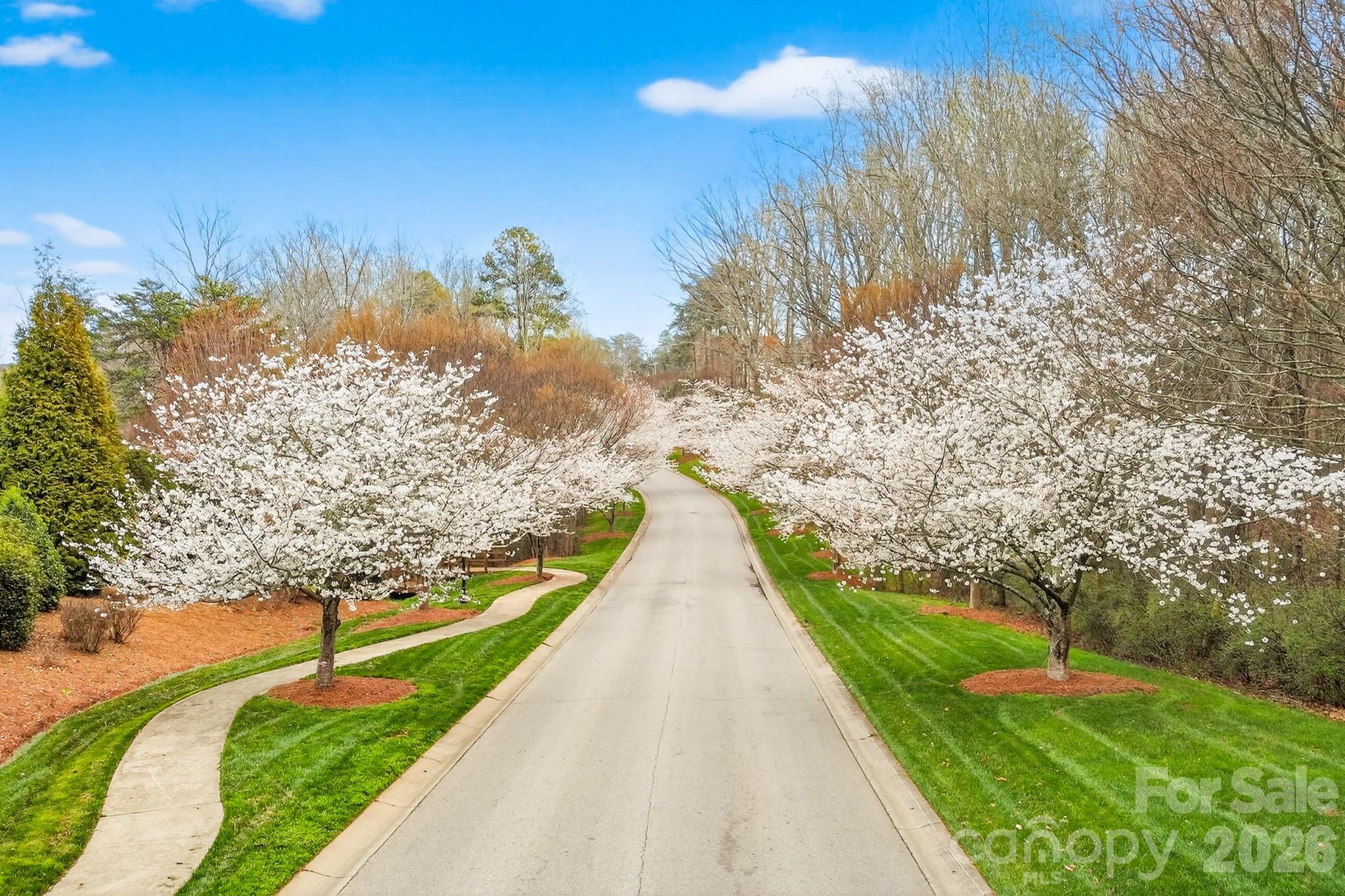 Handsmill On Lake Wylie - Residential