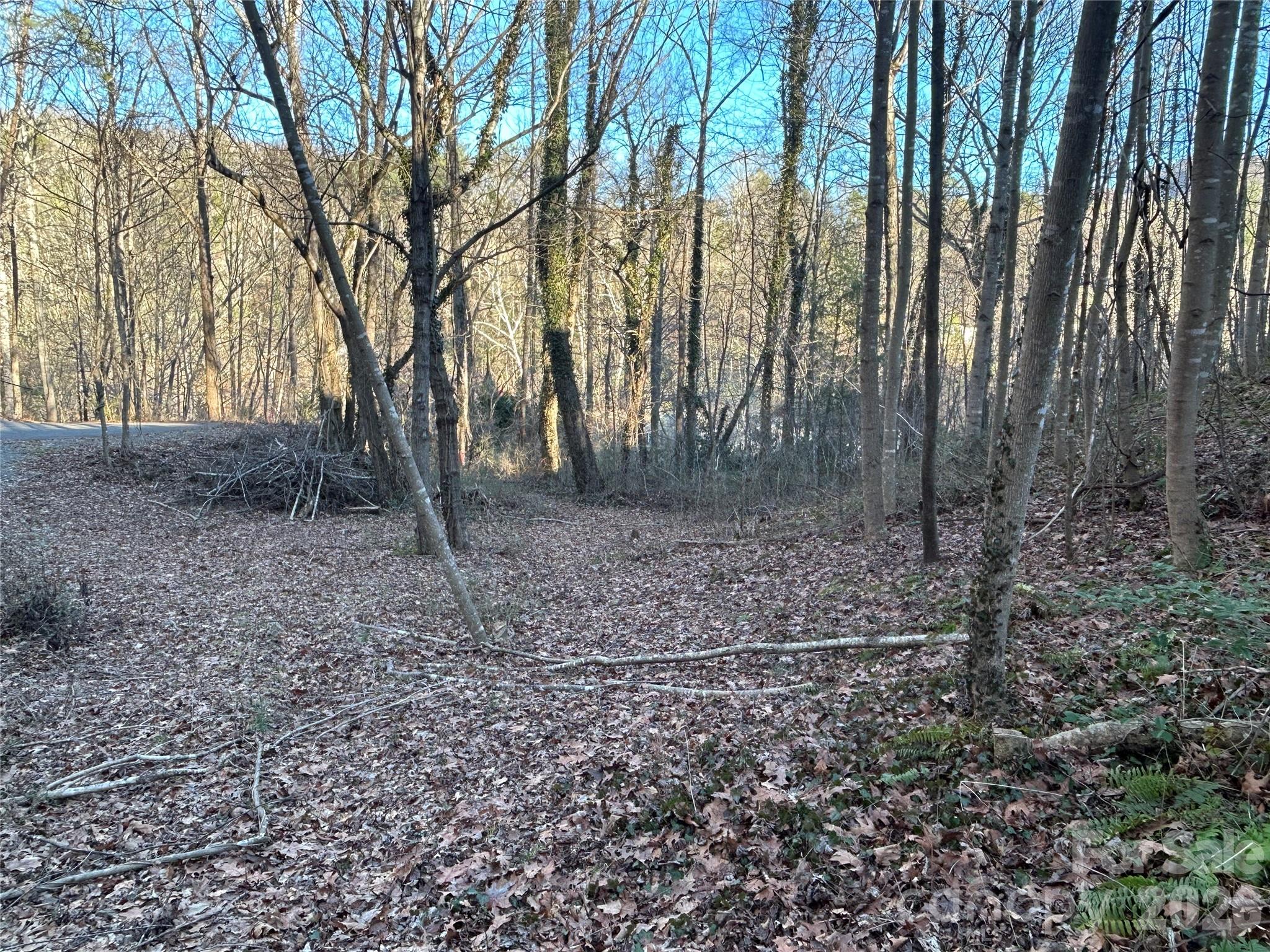 99999 Hickory Tree Road