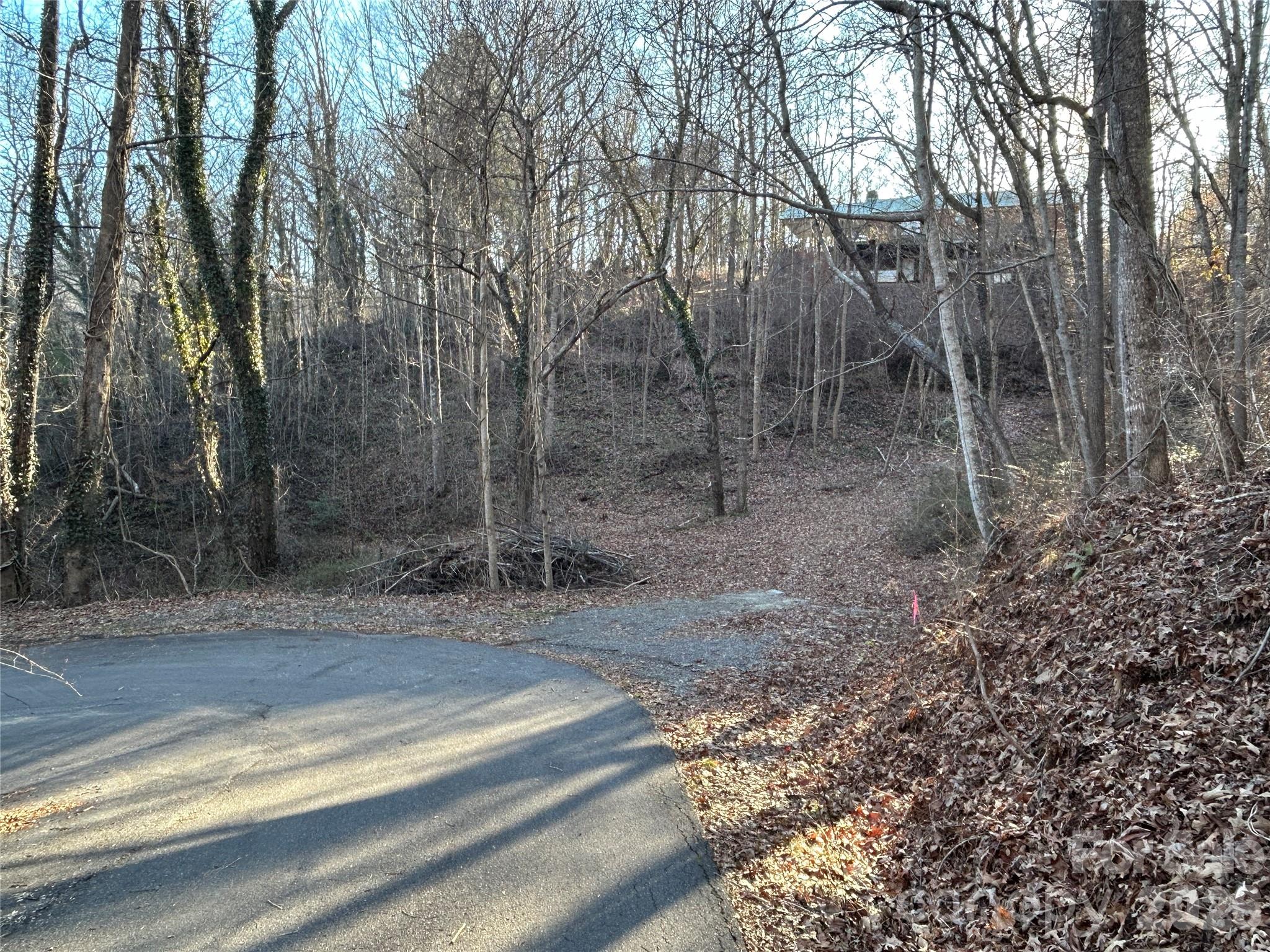 99999 Hickory Tree Road