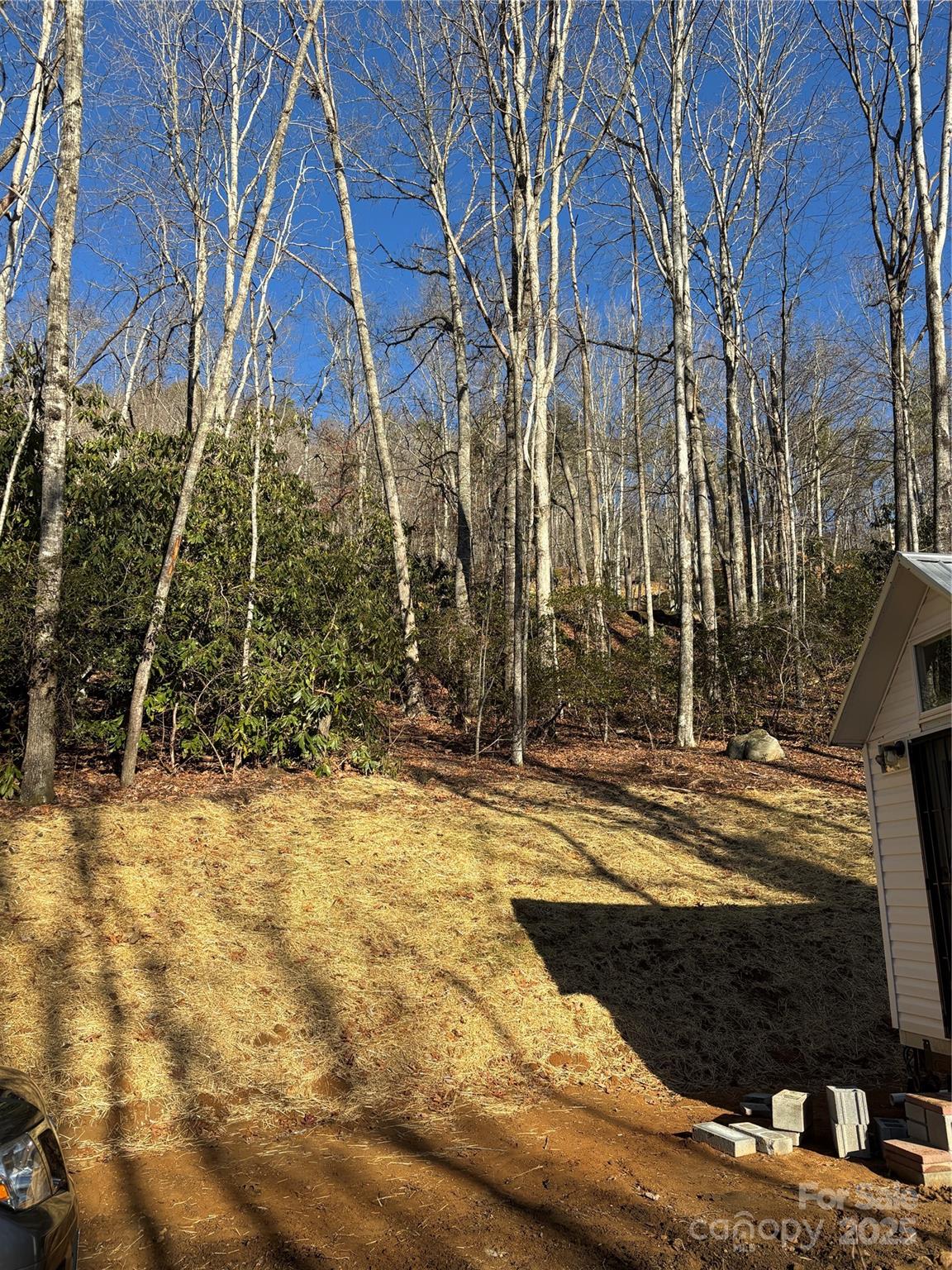 Sheepback Mountain - Residential