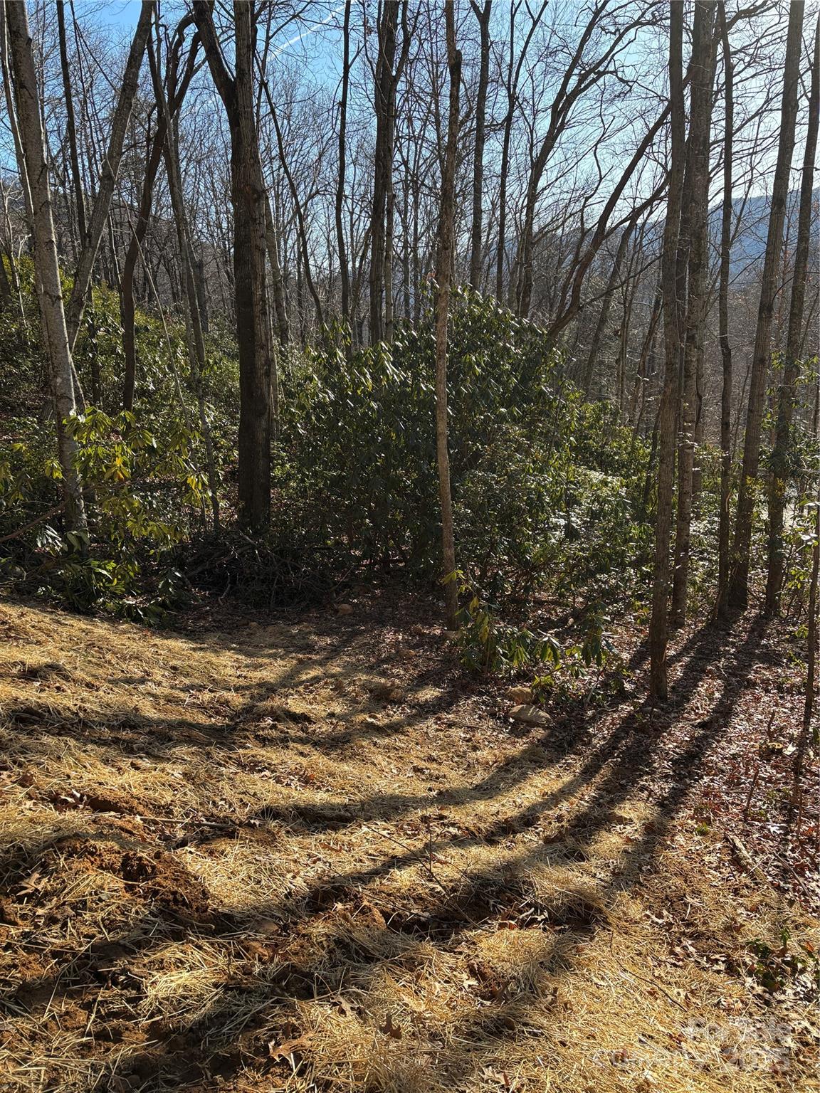 Sheepback Mountain - Residential