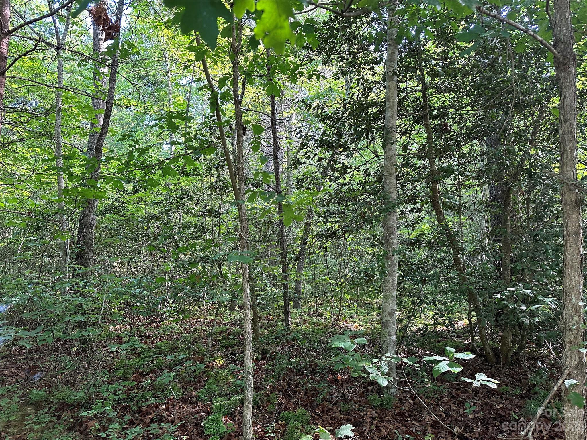 0 Grassy Knob Road 5