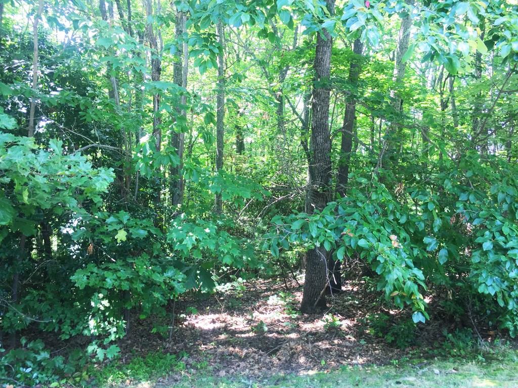 Champion Hills - Land