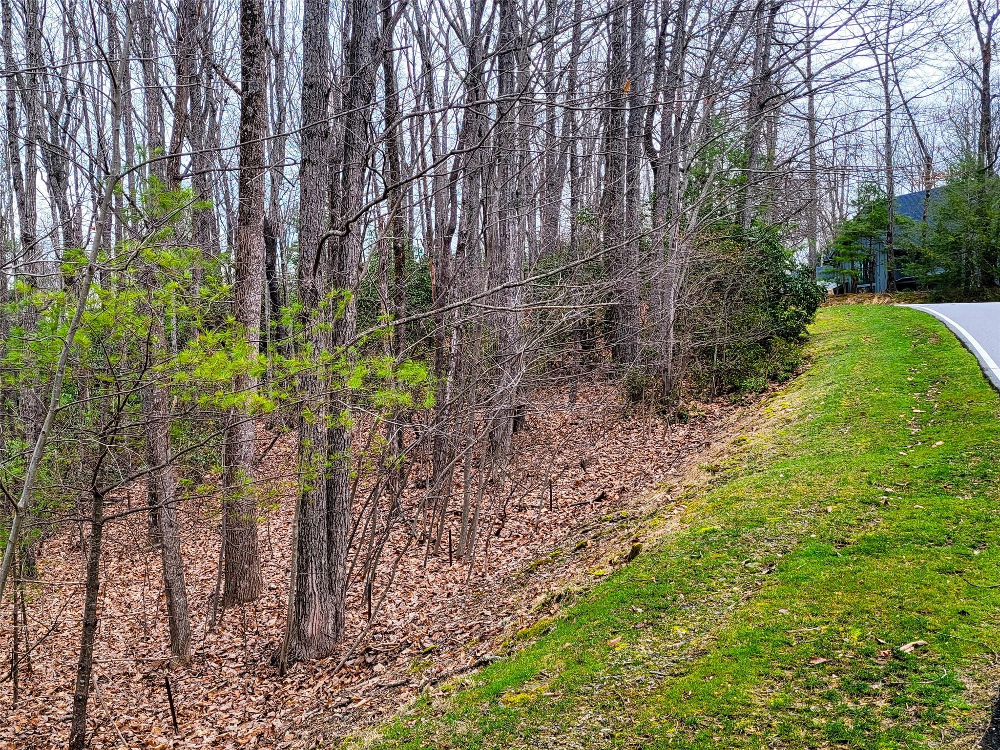 Champion Hills - Land