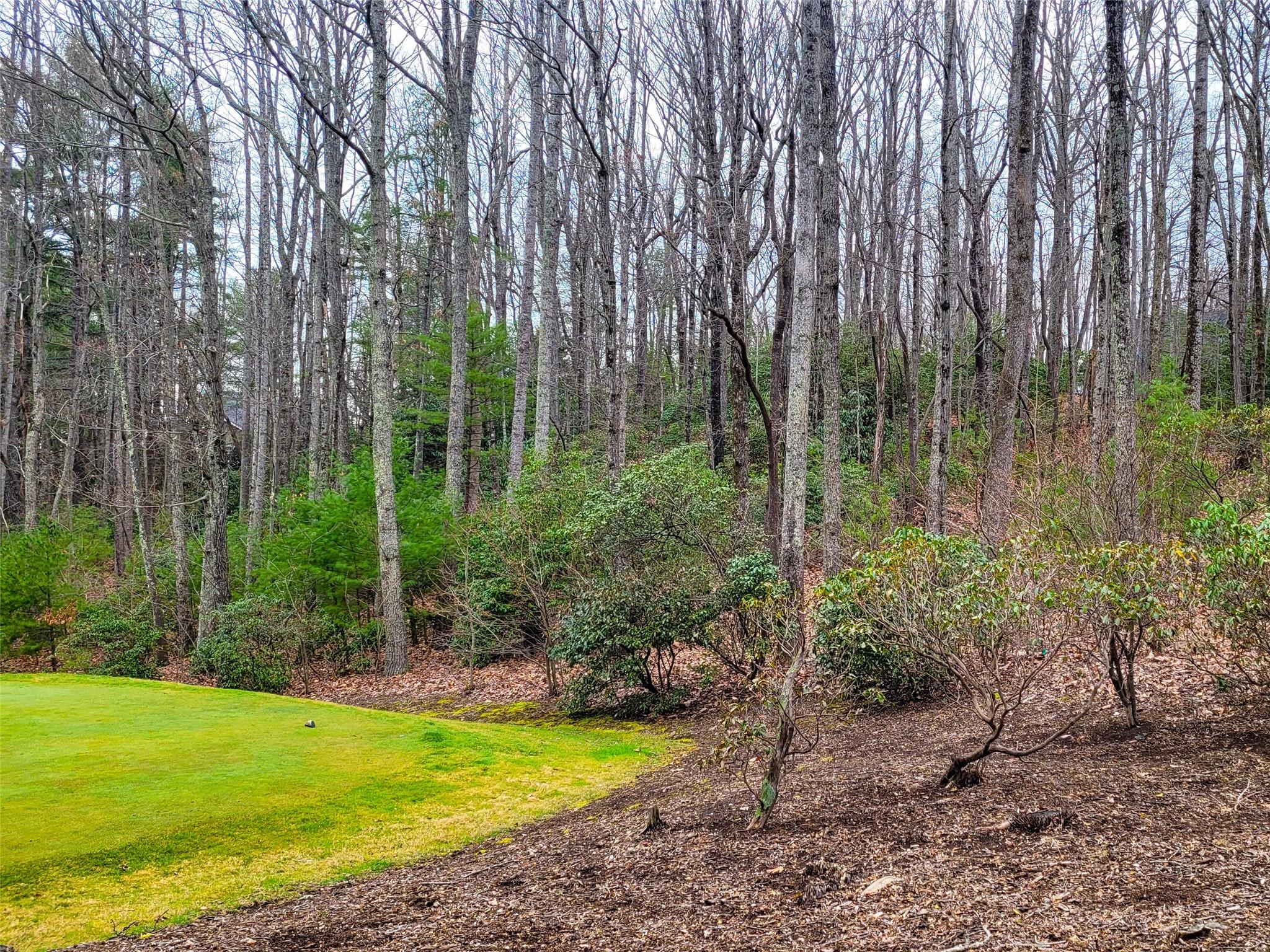 Champion Hills - Land