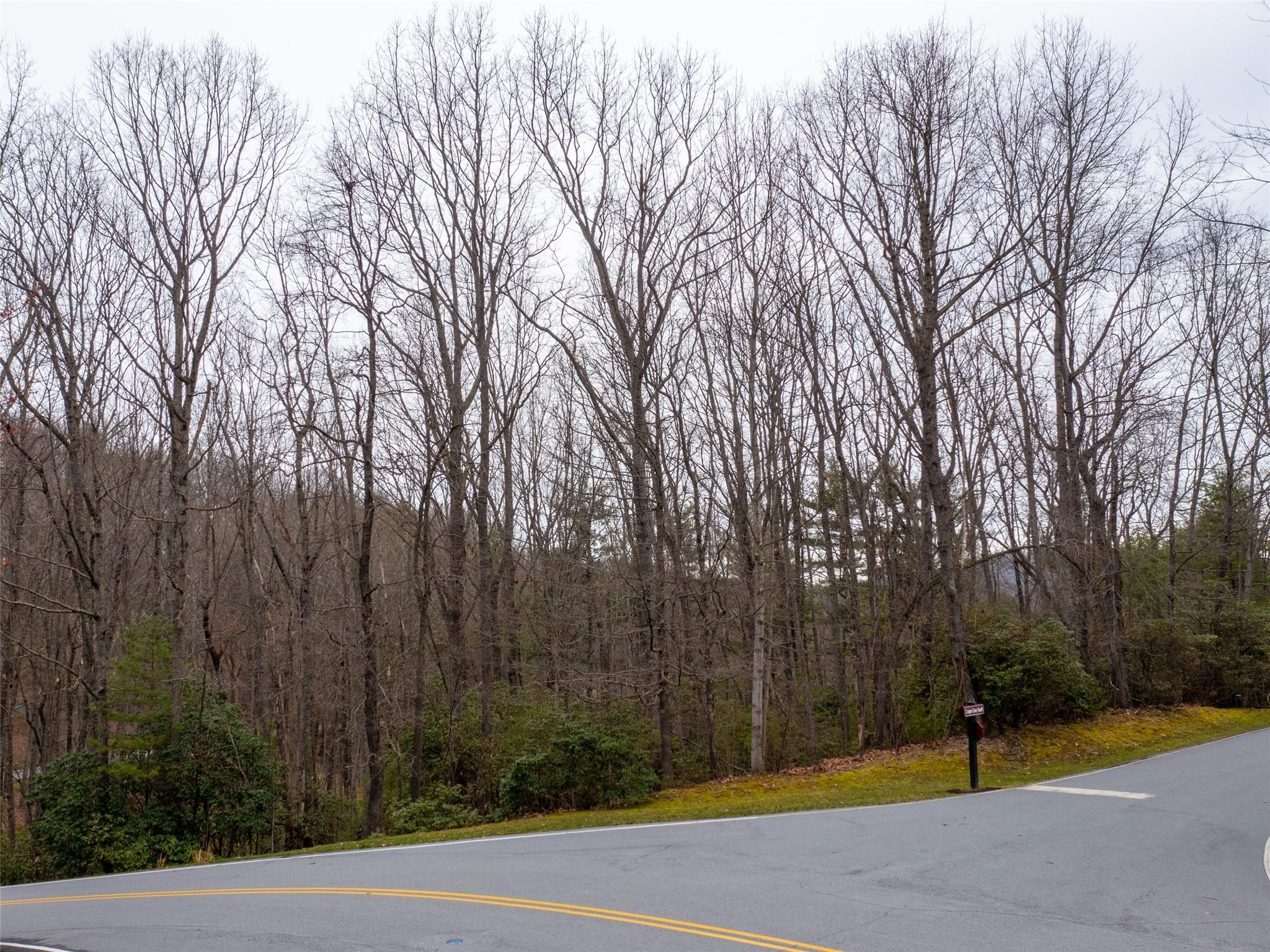 Champion Hills - Land