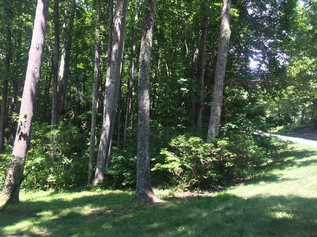 Champion Hills - Land