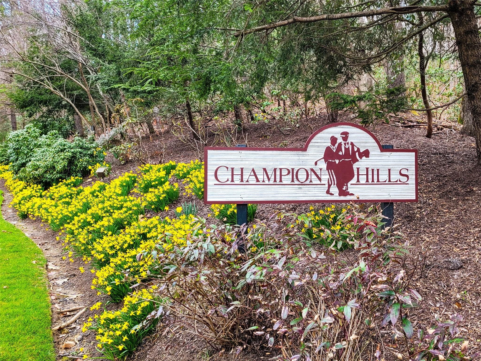 Champion Hills - Land
