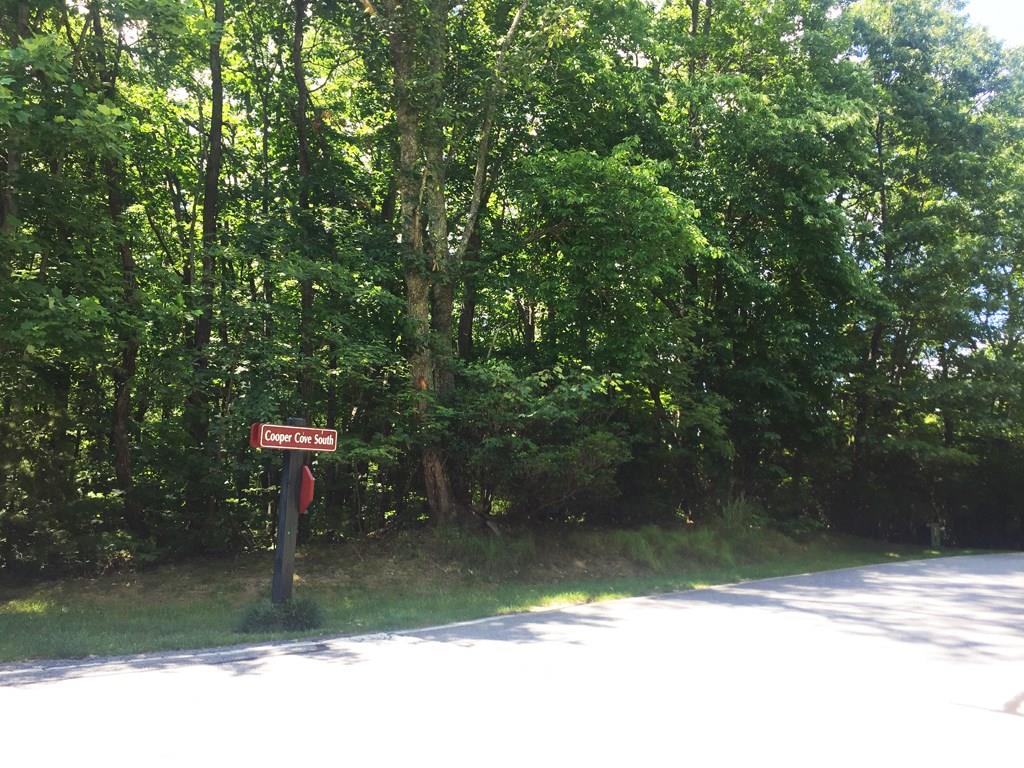 Champion Hills - Land