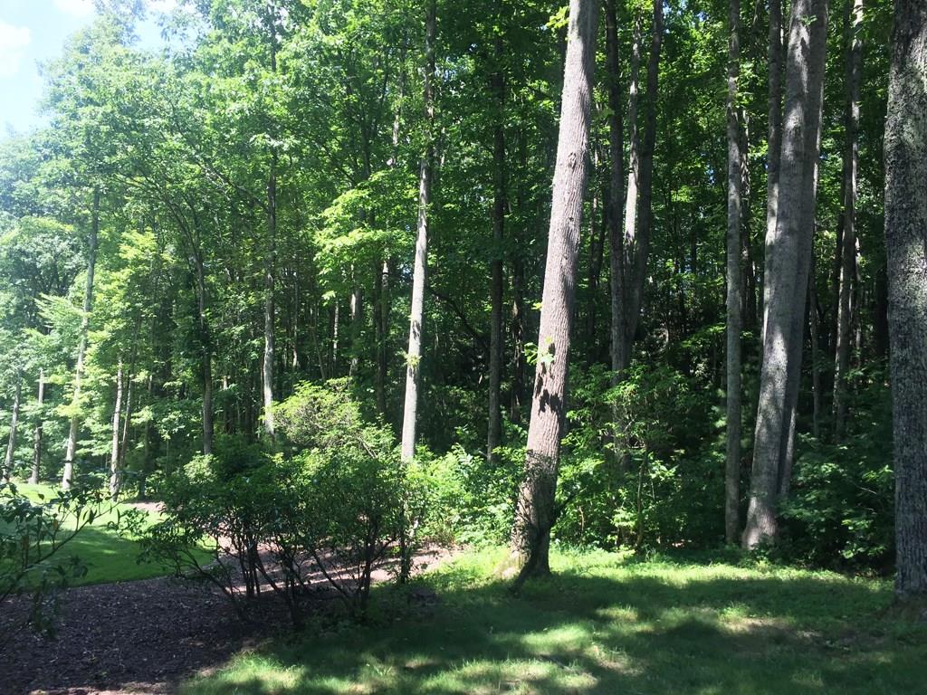 Champion Hills - Land