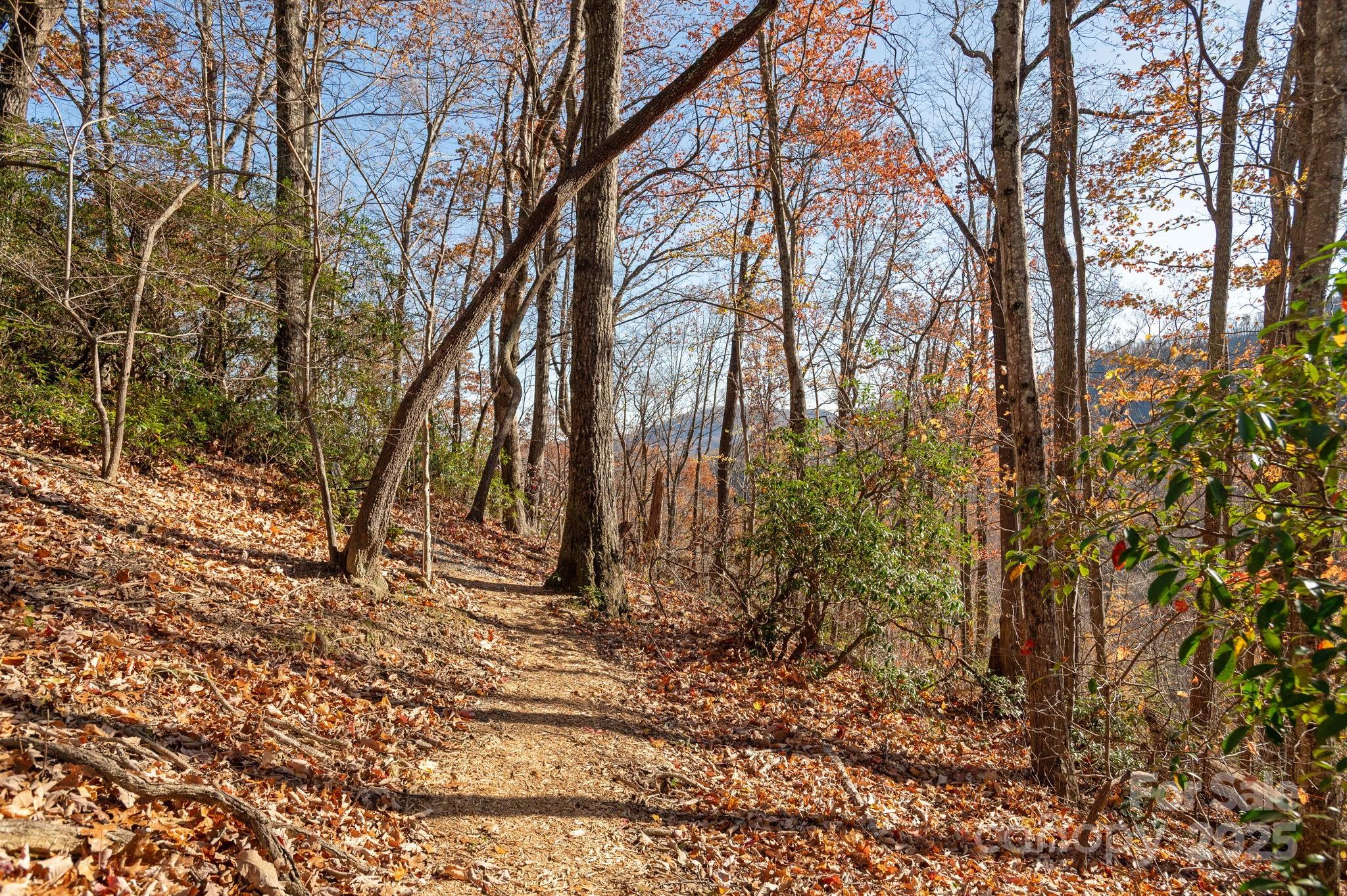 Gateway Mountain - Residential