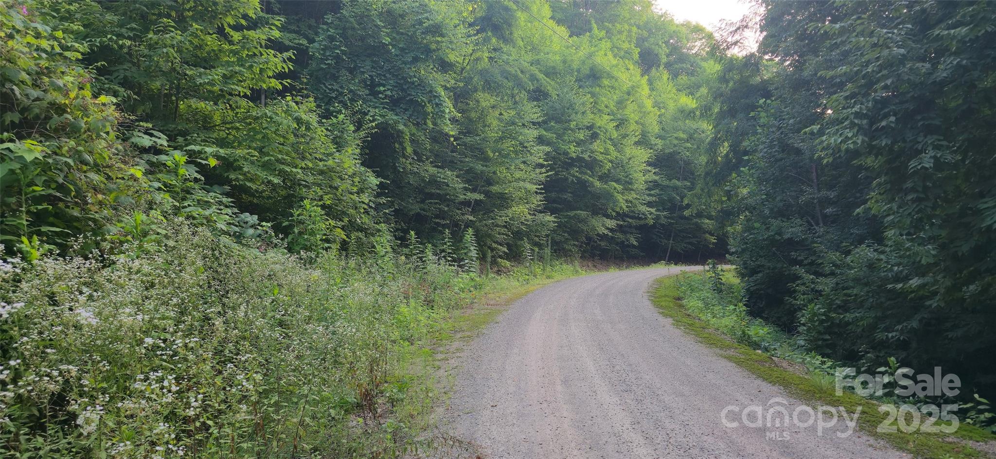 Catalooche Ranch Est - Land