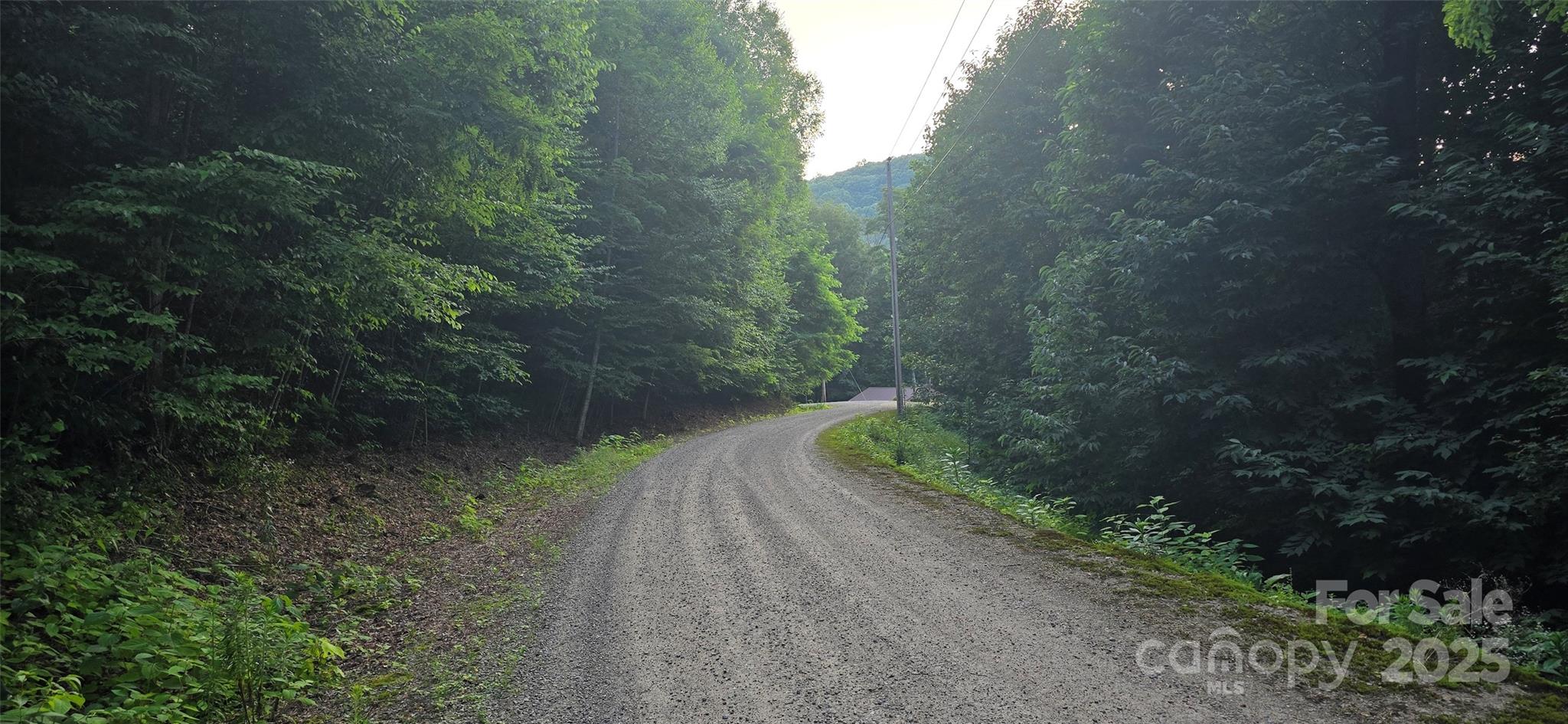 Catalooche Ranch Est - Land