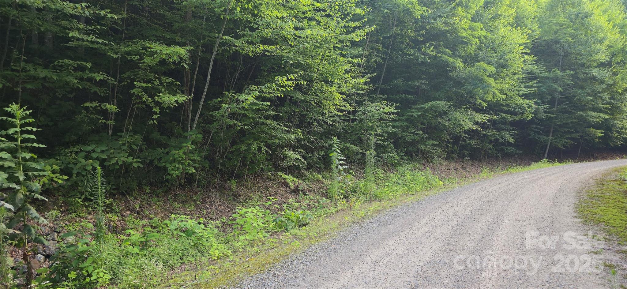 Catalooche Ranch Est - Land