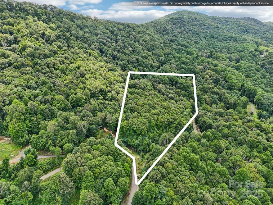 Discover Lot 501 in Cataloochee Ranch Estates—a 1.11-acre wooded homesite in a peaceful gated mountain community. With a gentle slope and easy access from a maintained gravel road, this lot offers a great building site without the need for a steep driveway. The land is heavily wooded, providing natural privacy and potential mountain views with selective clearing. There's access to a shared well, and a septic evaluation will be needed. Covenants and restrictions require a minimum build of 1,200 sq ft, perfect for a cozy retreat or year-round home. Enjoy the best of mountain living just minutes from Maggie Valley, Waynesville, and outdoor adventures on the Blue Ridge Parkway. Peaceful, private, and full of potential—your mountain dream starts here.