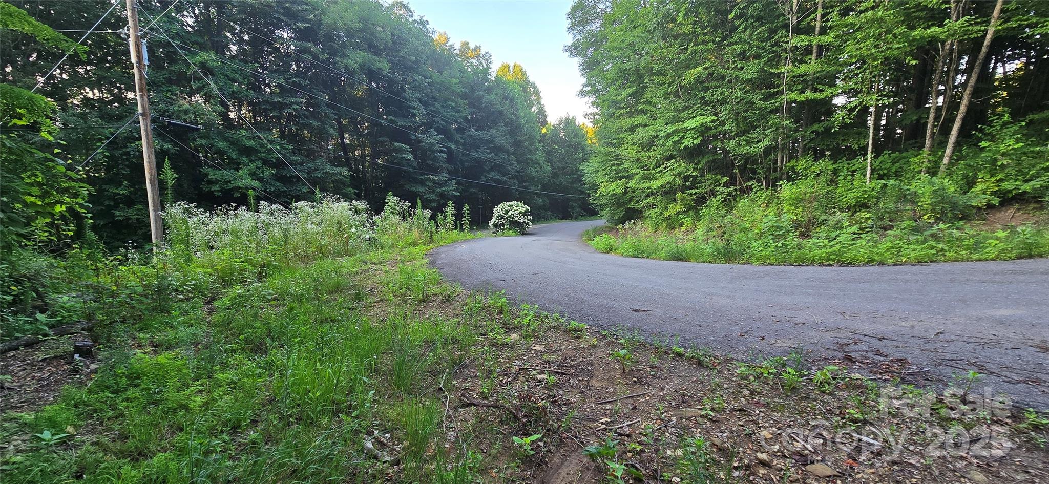 Catalooche Ranch Est - Land