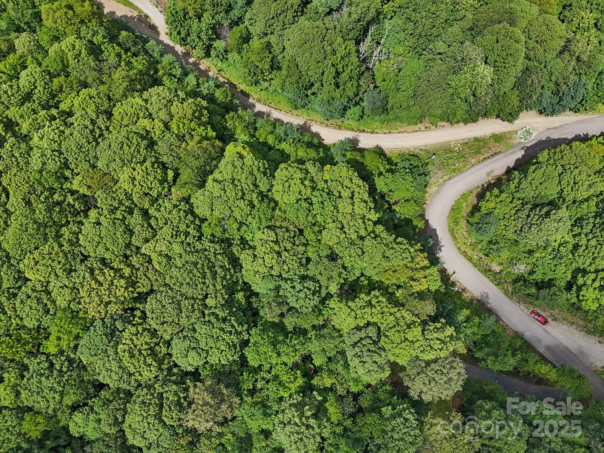 Catalooche Ranch Est - Land