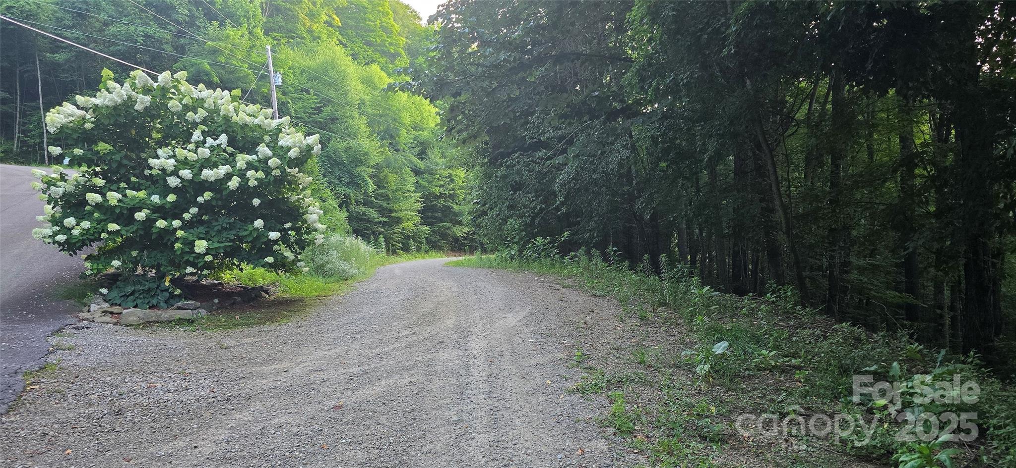 Catalooche Ranch Est - Land