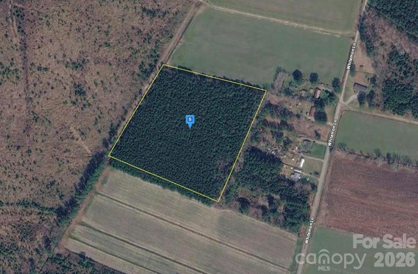 301 WHITEMON LN, EDENTON, NC 27932 - Image e8d0cad2cd268f0d397186e4ef3b3b7a/2247691064