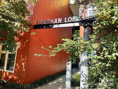 125 Clingman Avenue 203 Asheville NC 28801