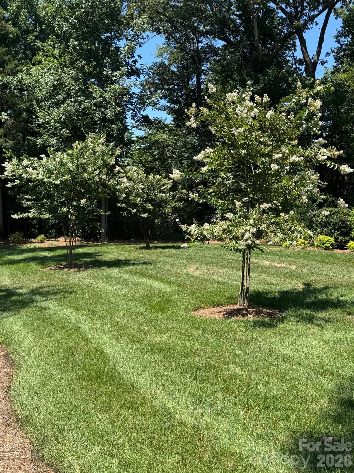 Cheval - Residential