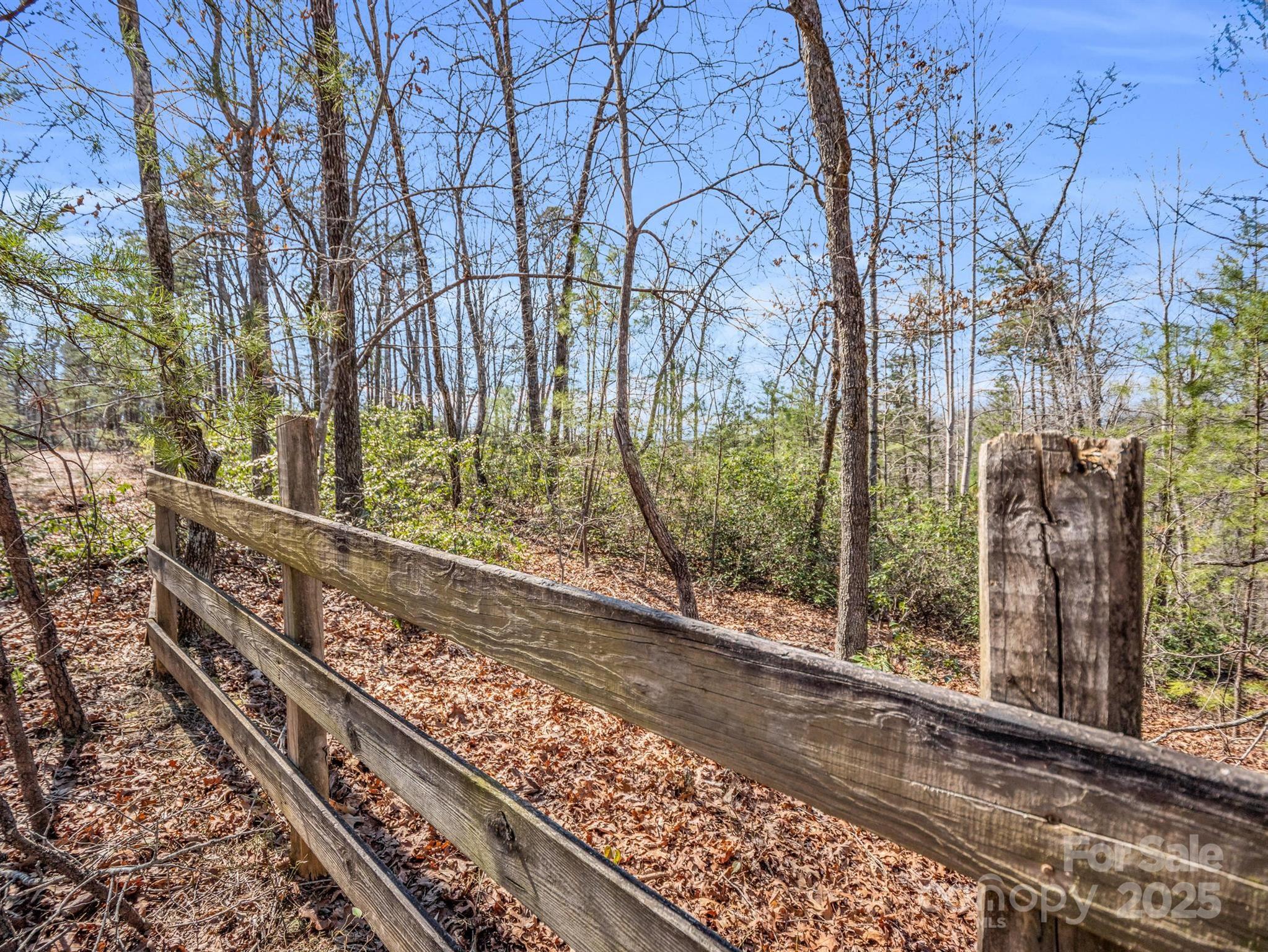 000 Forester Lane 21