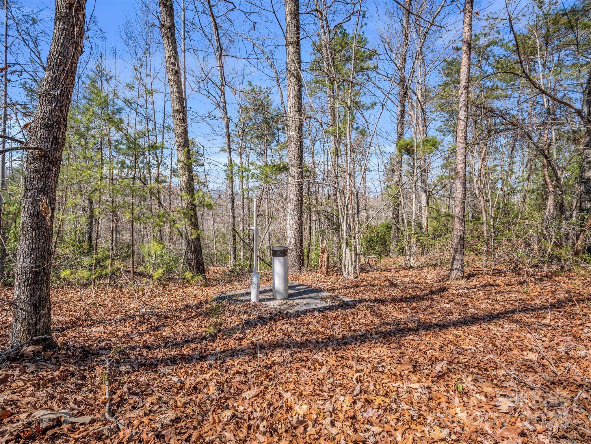 000 Forester Lane 21