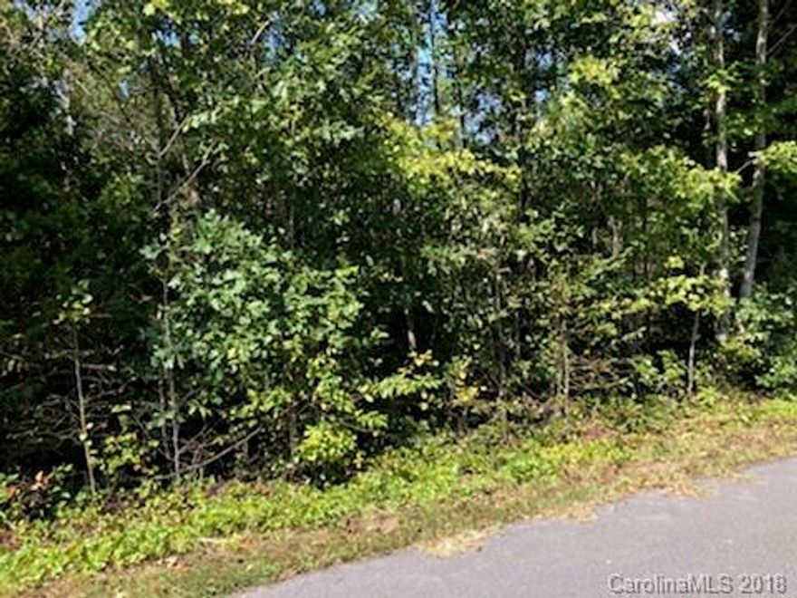 Great corner lot in a small neighborhood. Build on this lot. Check out the drone video and enjoy the site.