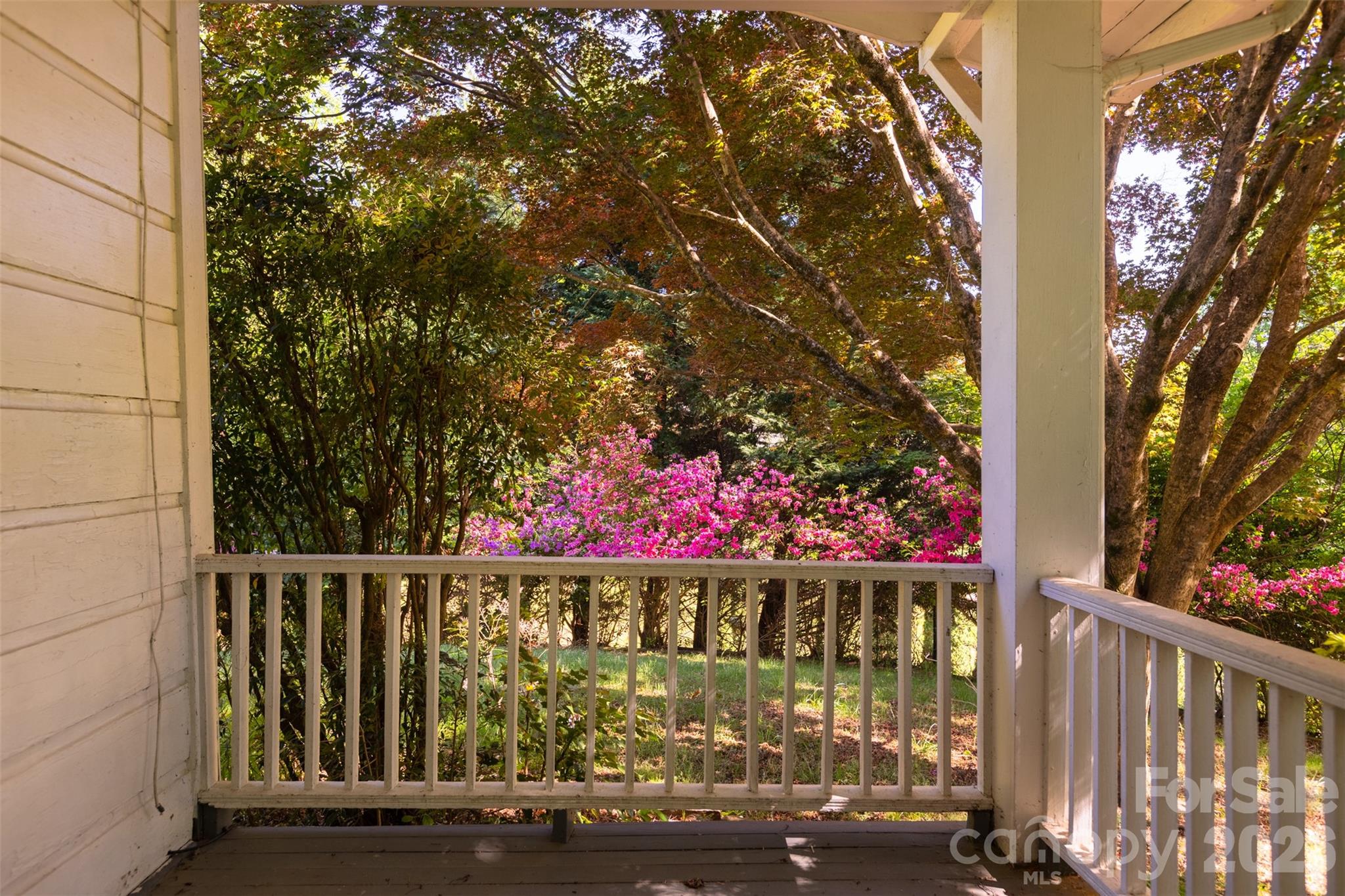 484 Yancey Road