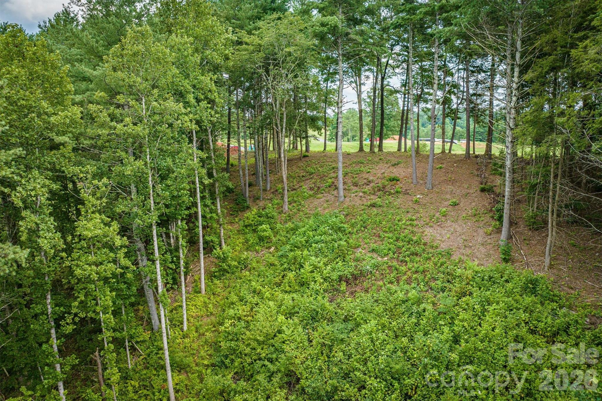 The Coves Mountain River Club - Land