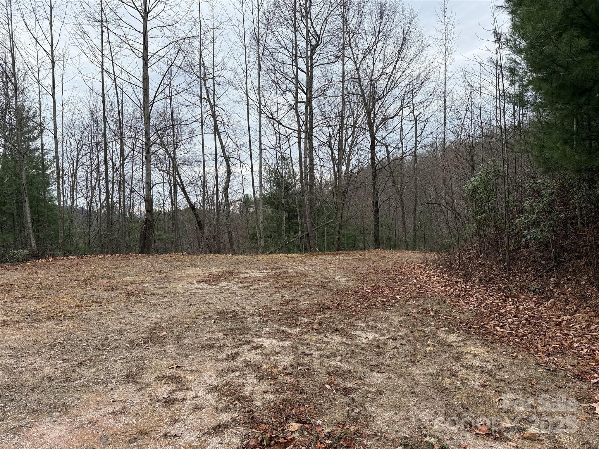 Buck Mountain - Land