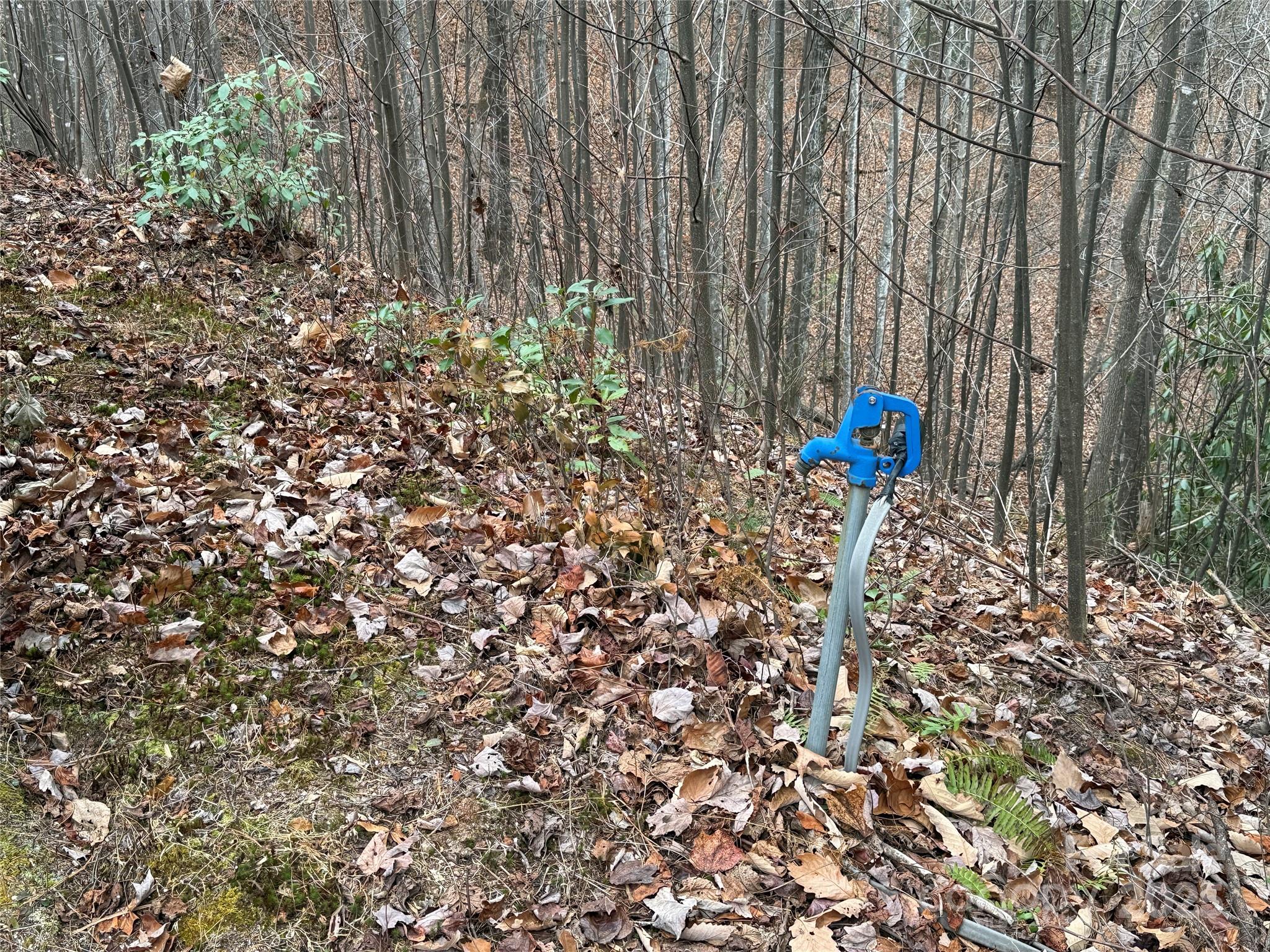 Buck Mountain - Land