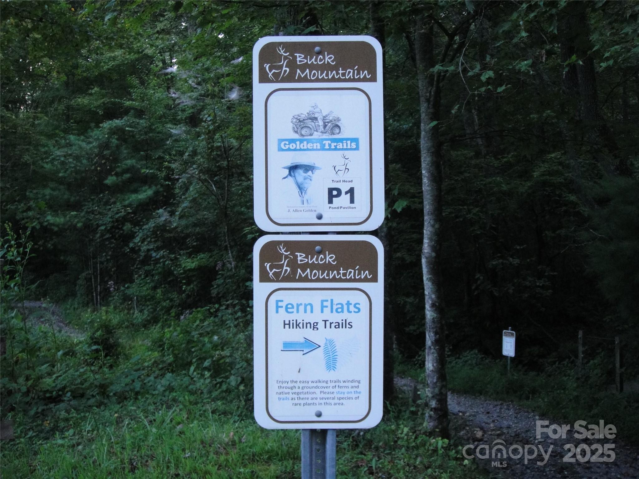 Buck Mountain - Land