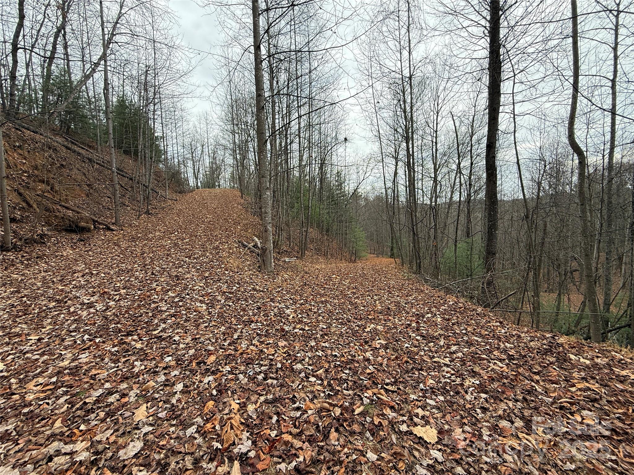 Buck Mountain - Land