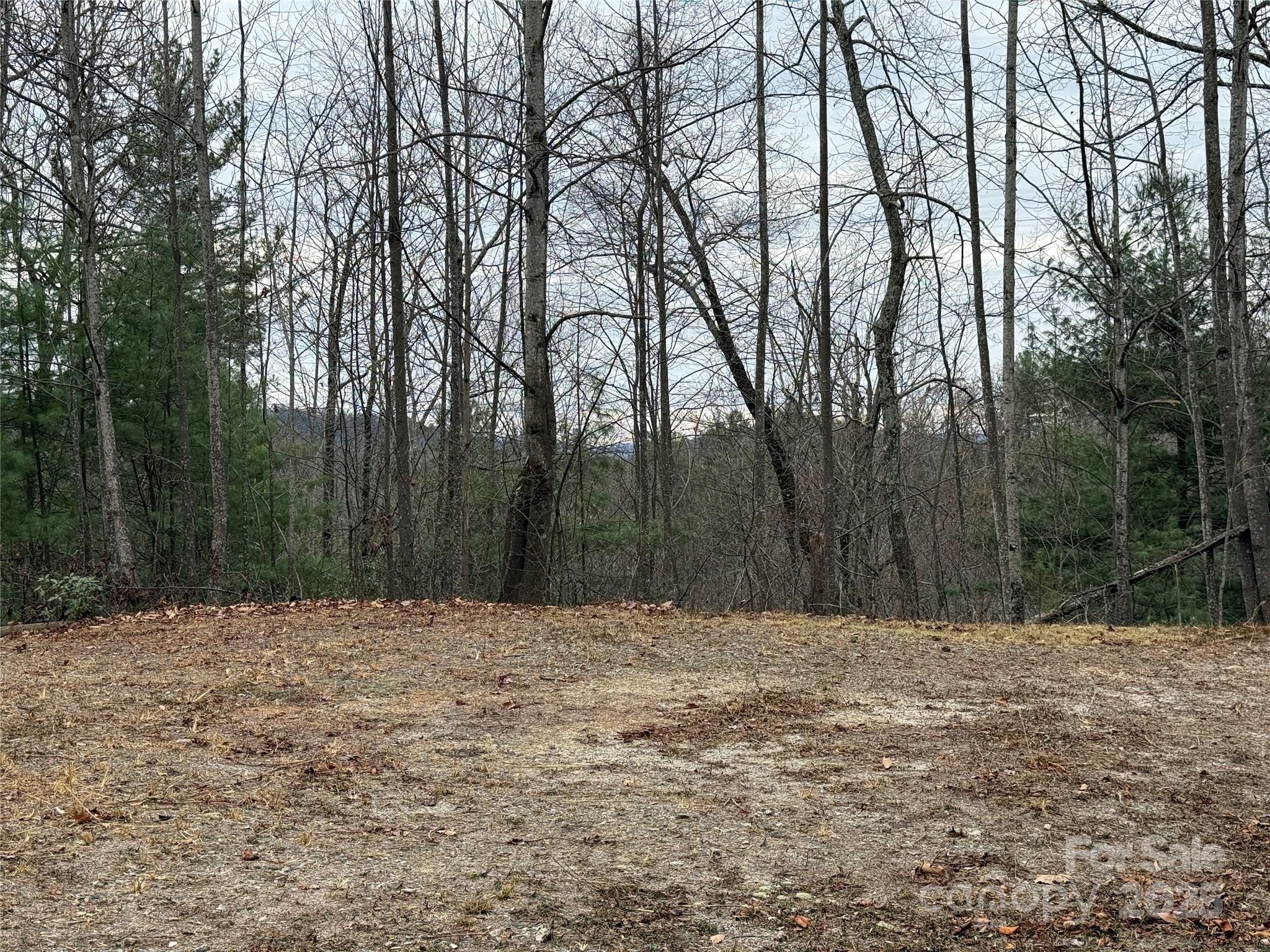 Buck Mountain - Land