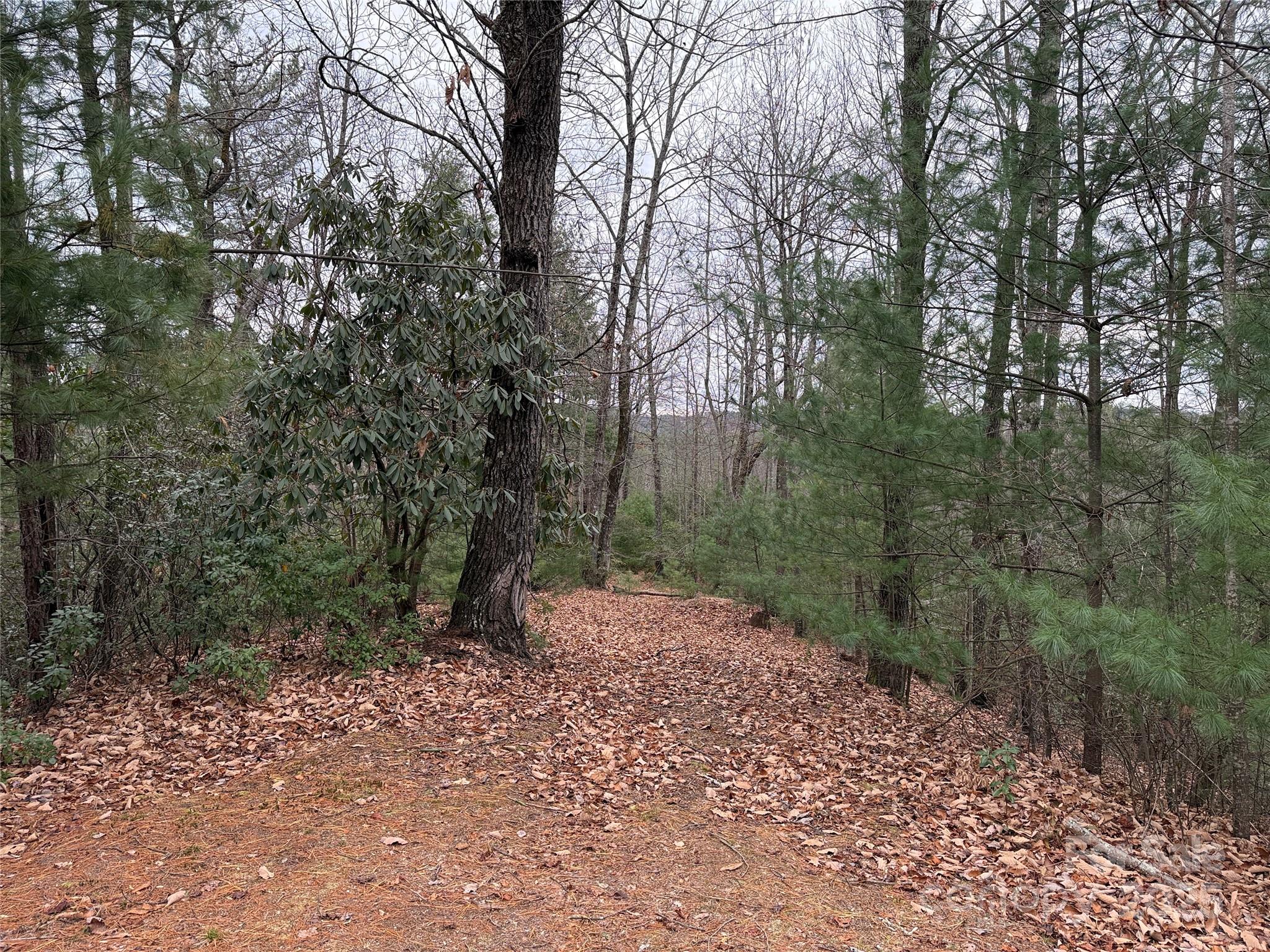 Buck Mountain - Land