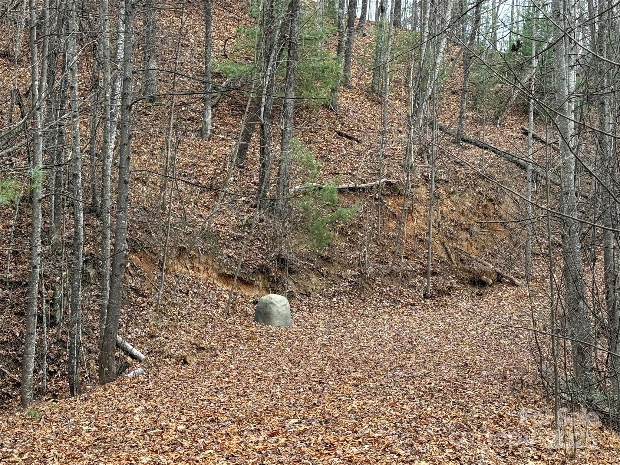 Buck Mountain - Land