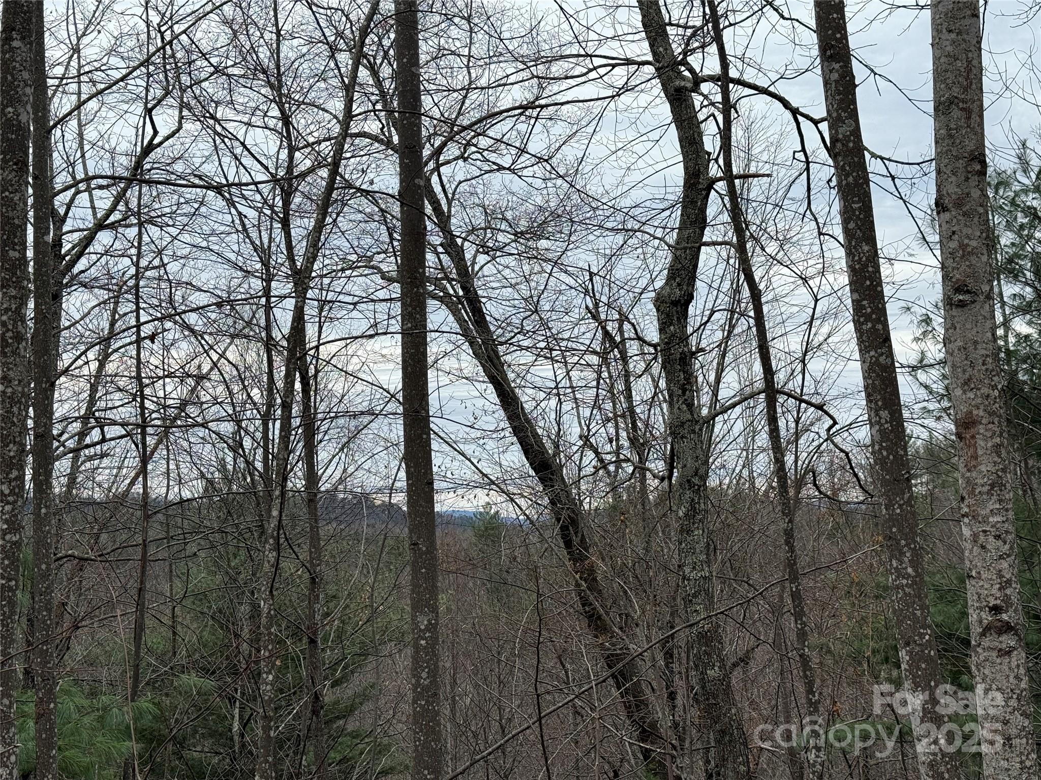 Buck Mountain - Land