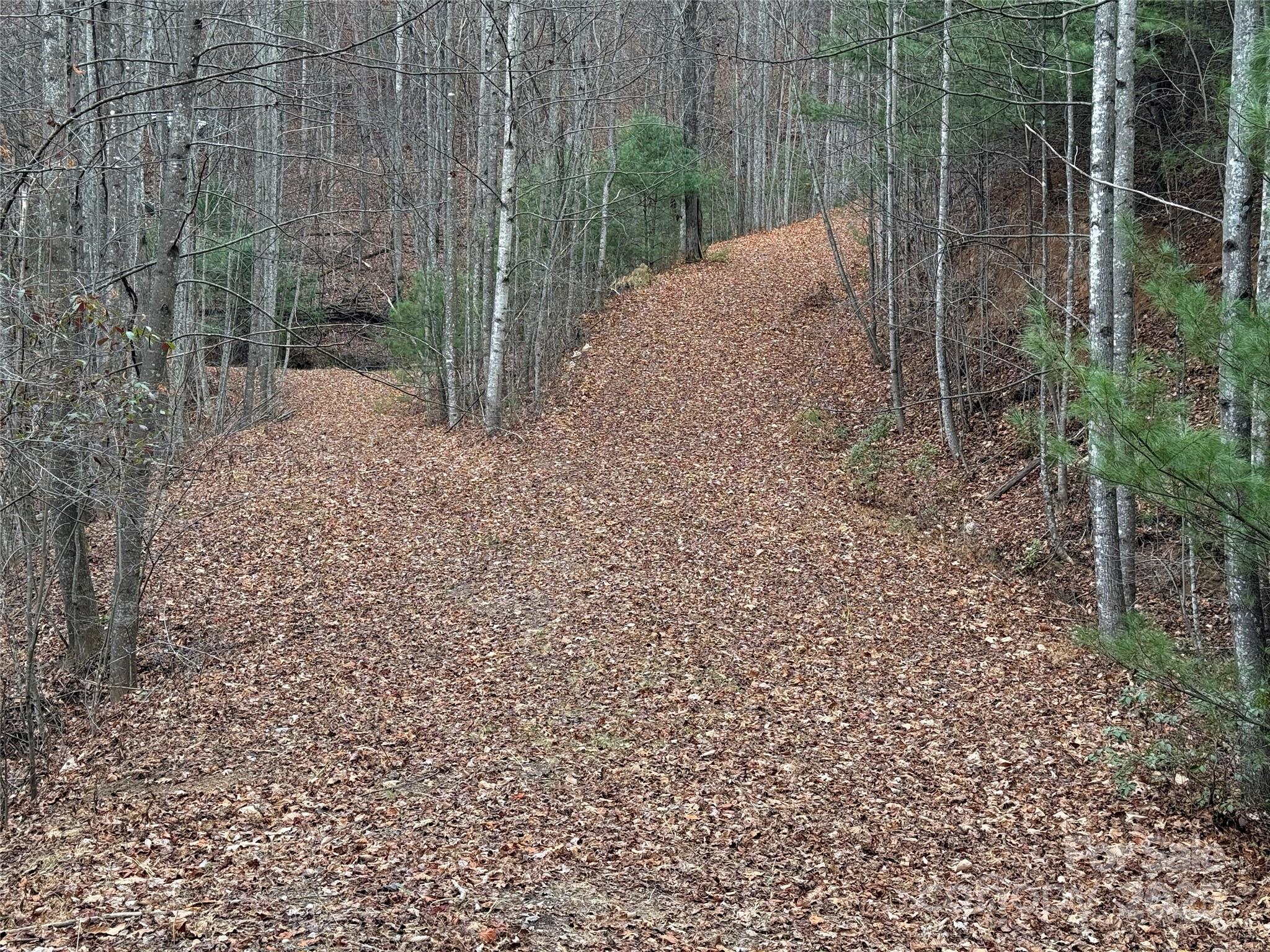 Buck Mountain - Land