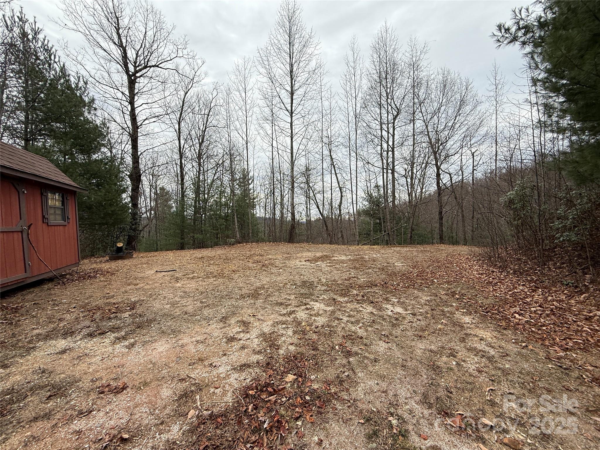 Buck Mountain - Land