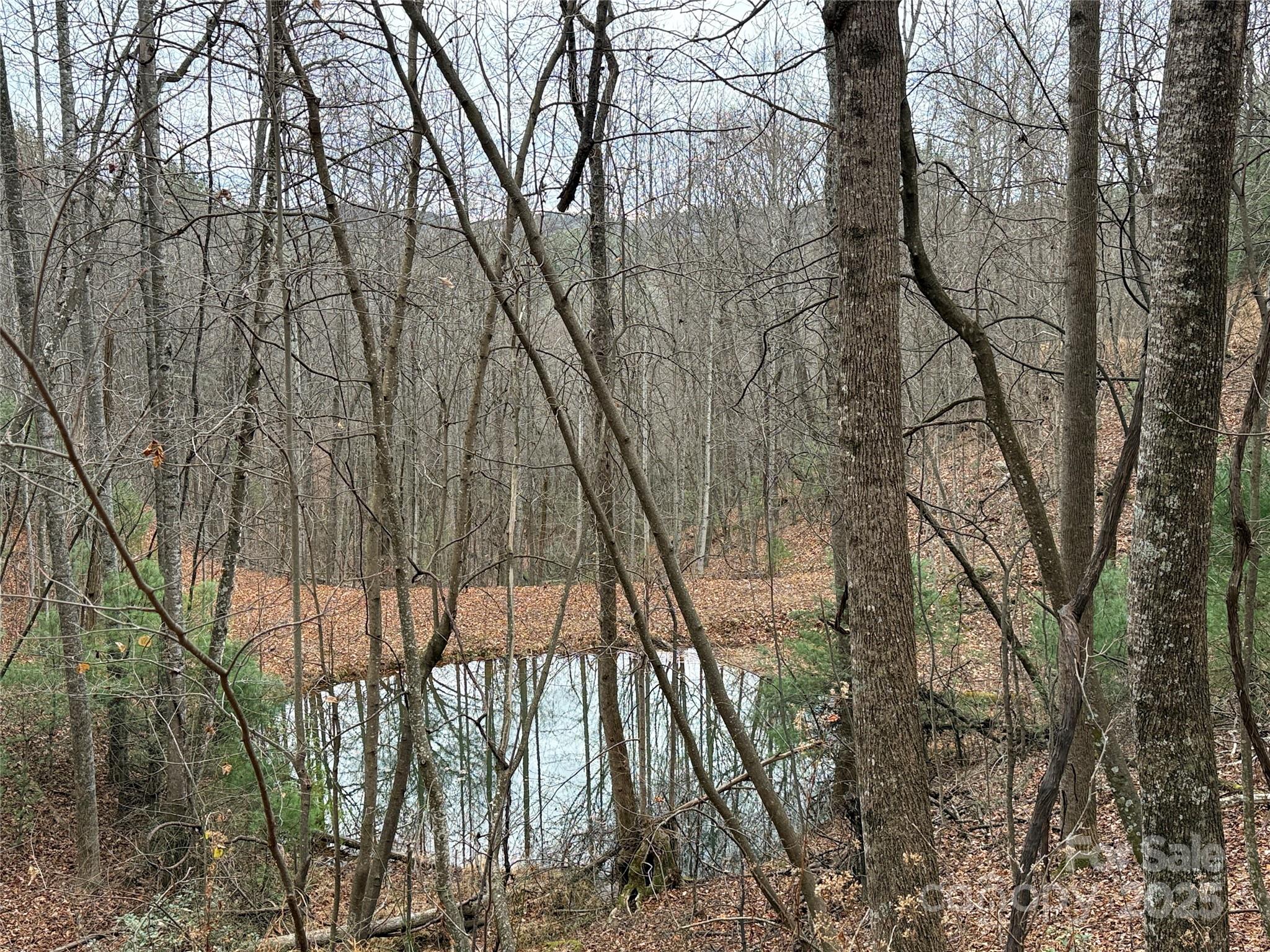 Buck Mountain - Land