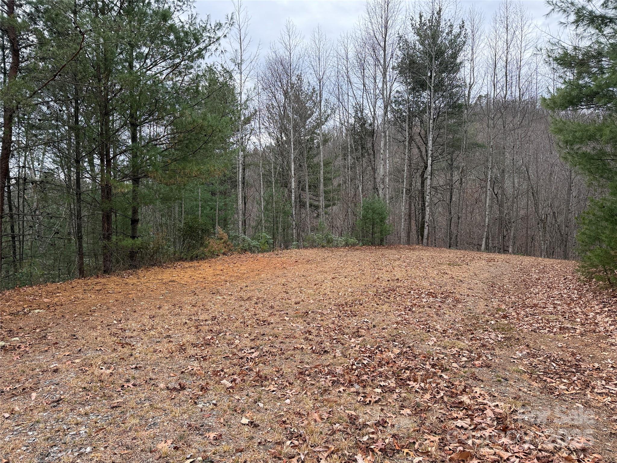 Buck Mountain - Land