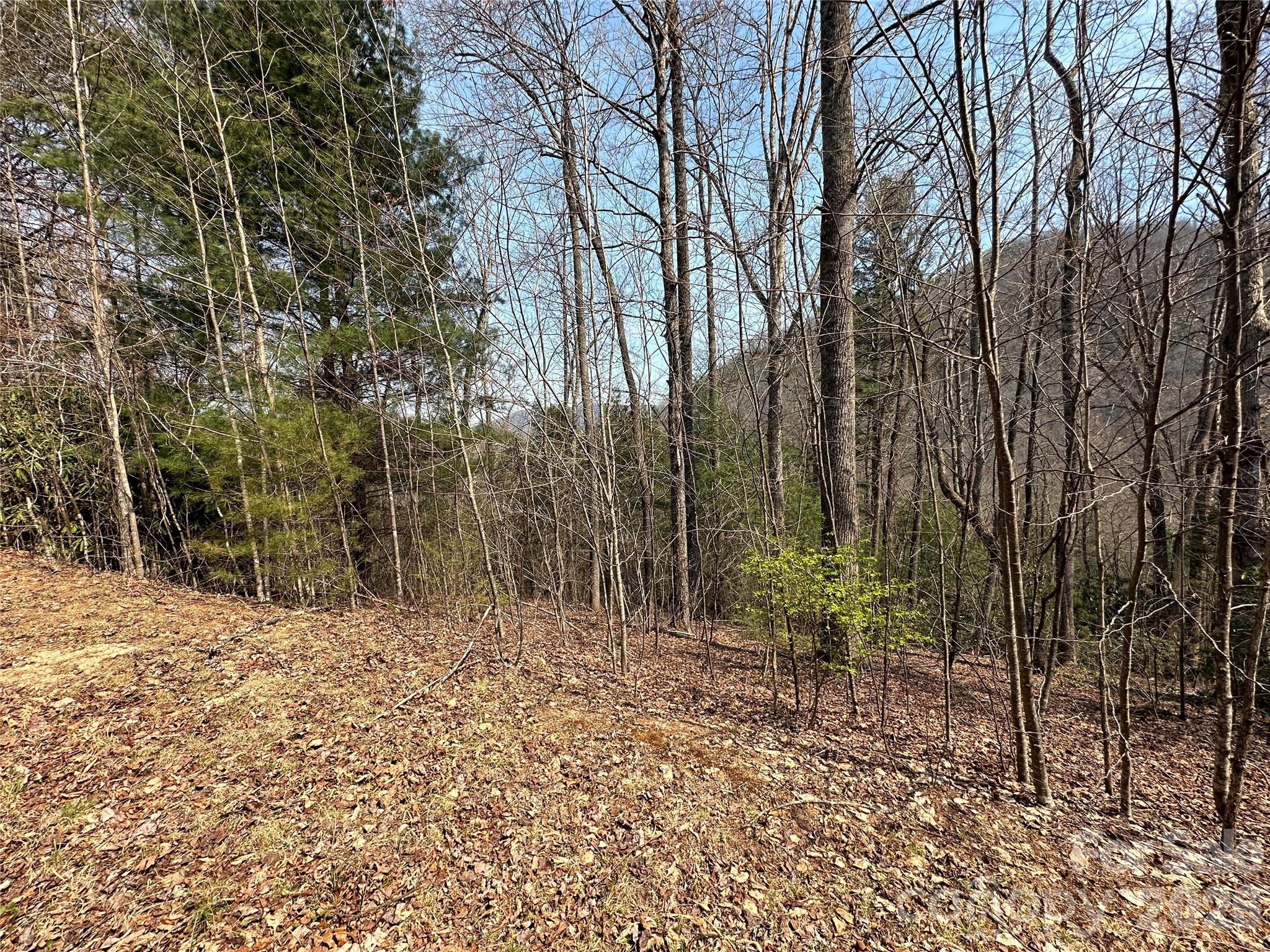 TBD Wood Stone Drive 14