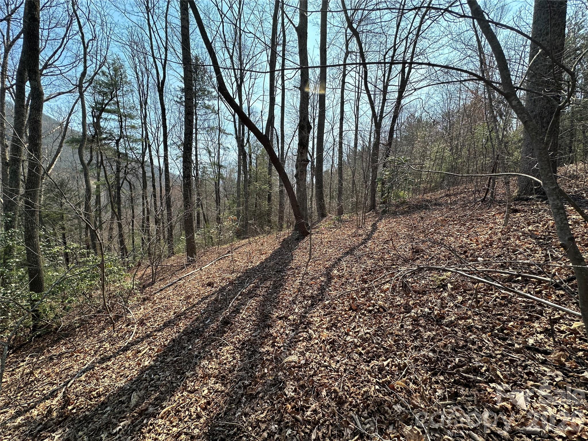 TBD Wood Stone Drive 14