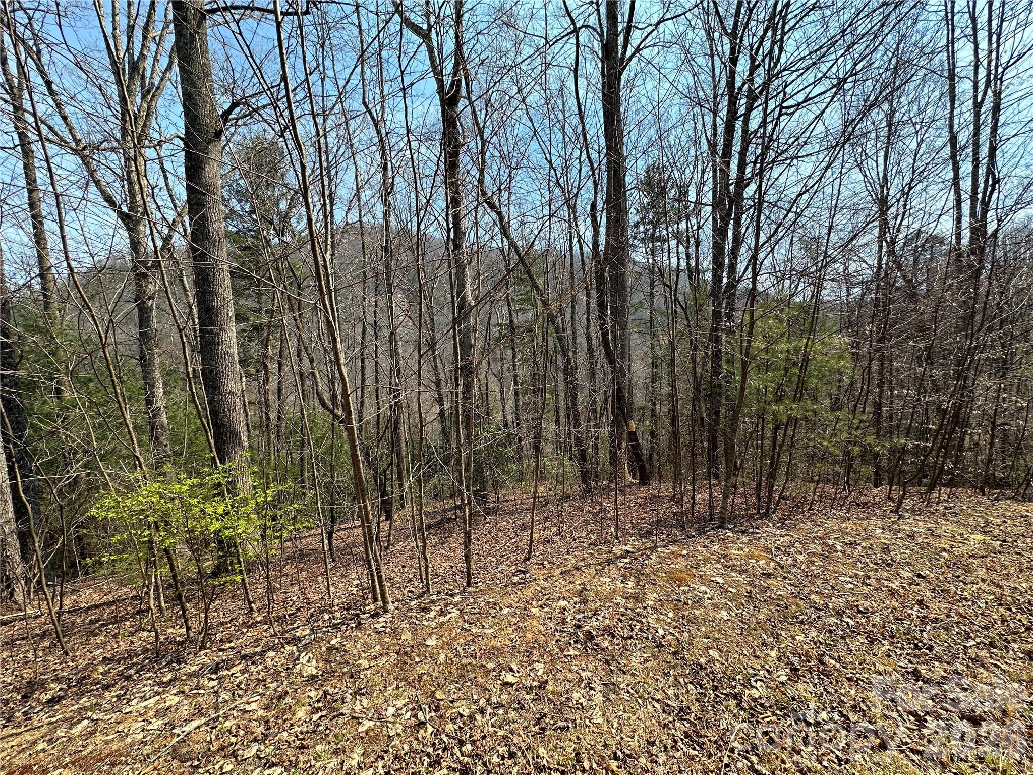 TBD Wood Stone Drive 14