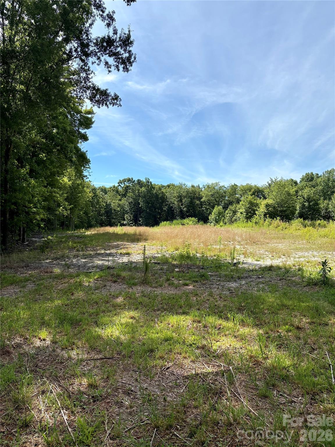 1323 Hill Road 2