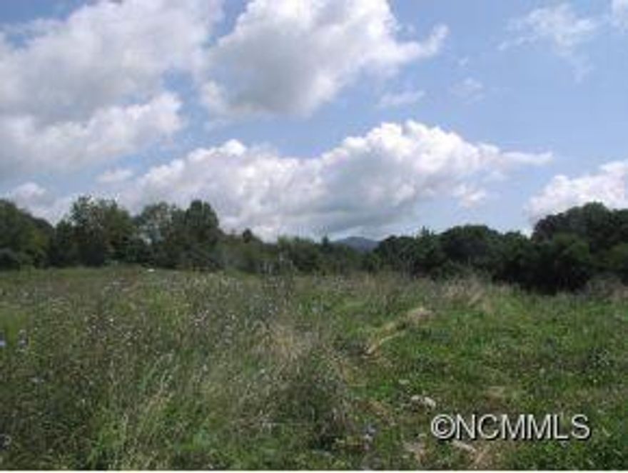 Nice unrestricted property just outside Canton ETJ, good location just off Exit 31, close to water and sewer, lots of possiblities